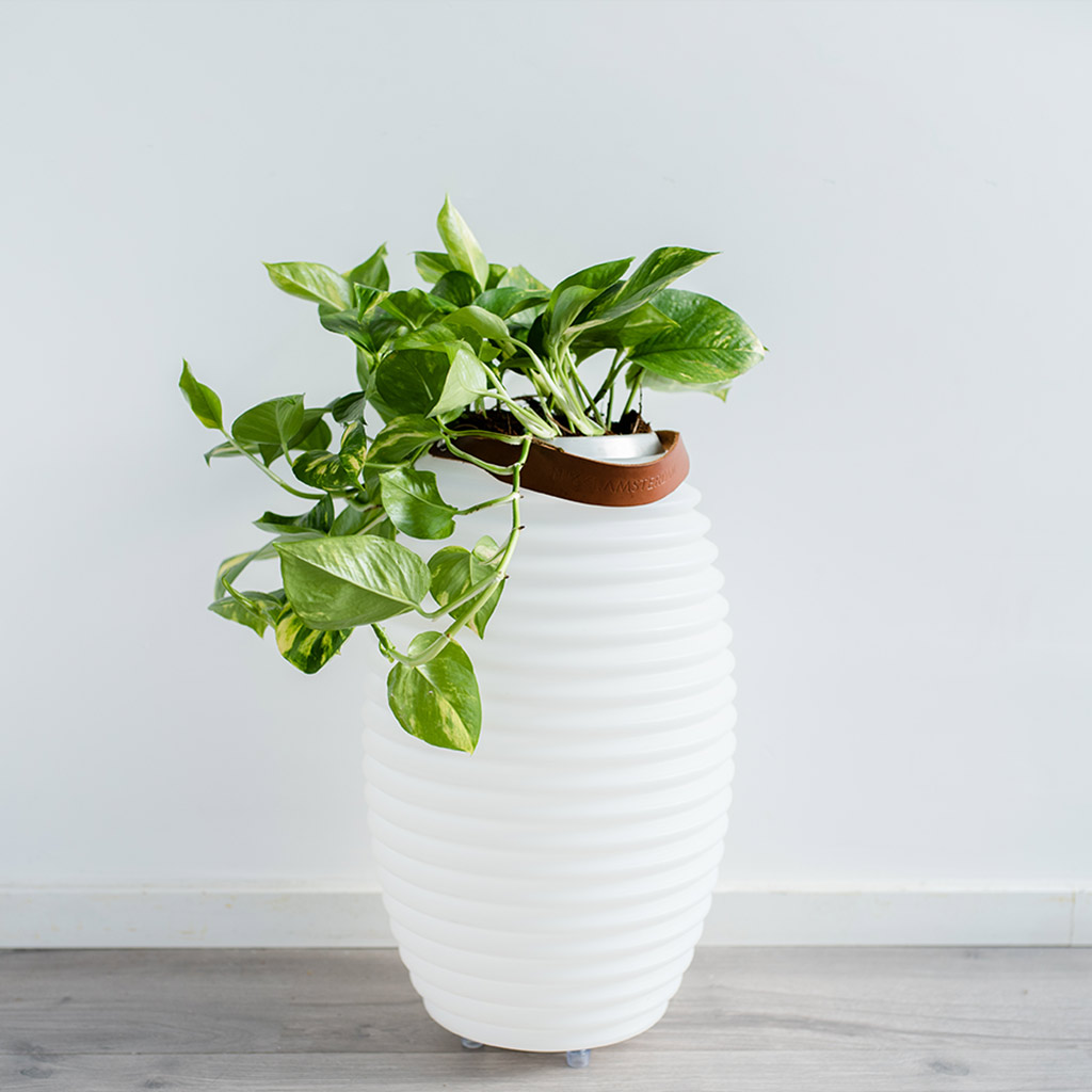 Vloerlamp The Lampion serie afbeelding