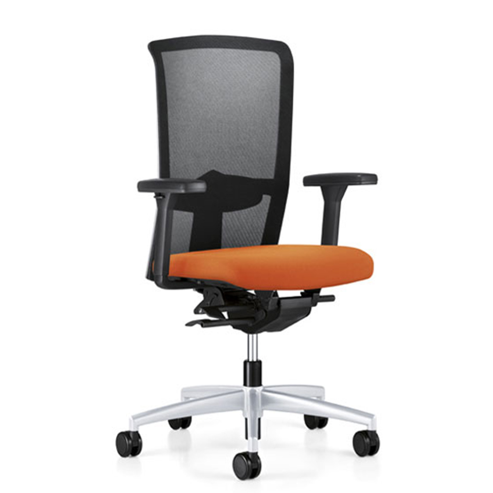 Prosedia Velt afbeelding