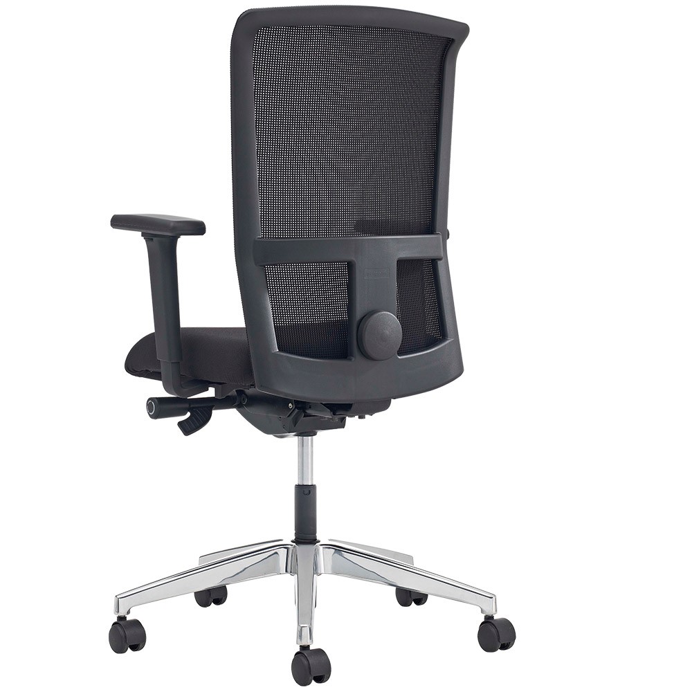 Prosedia Velt afbeelding