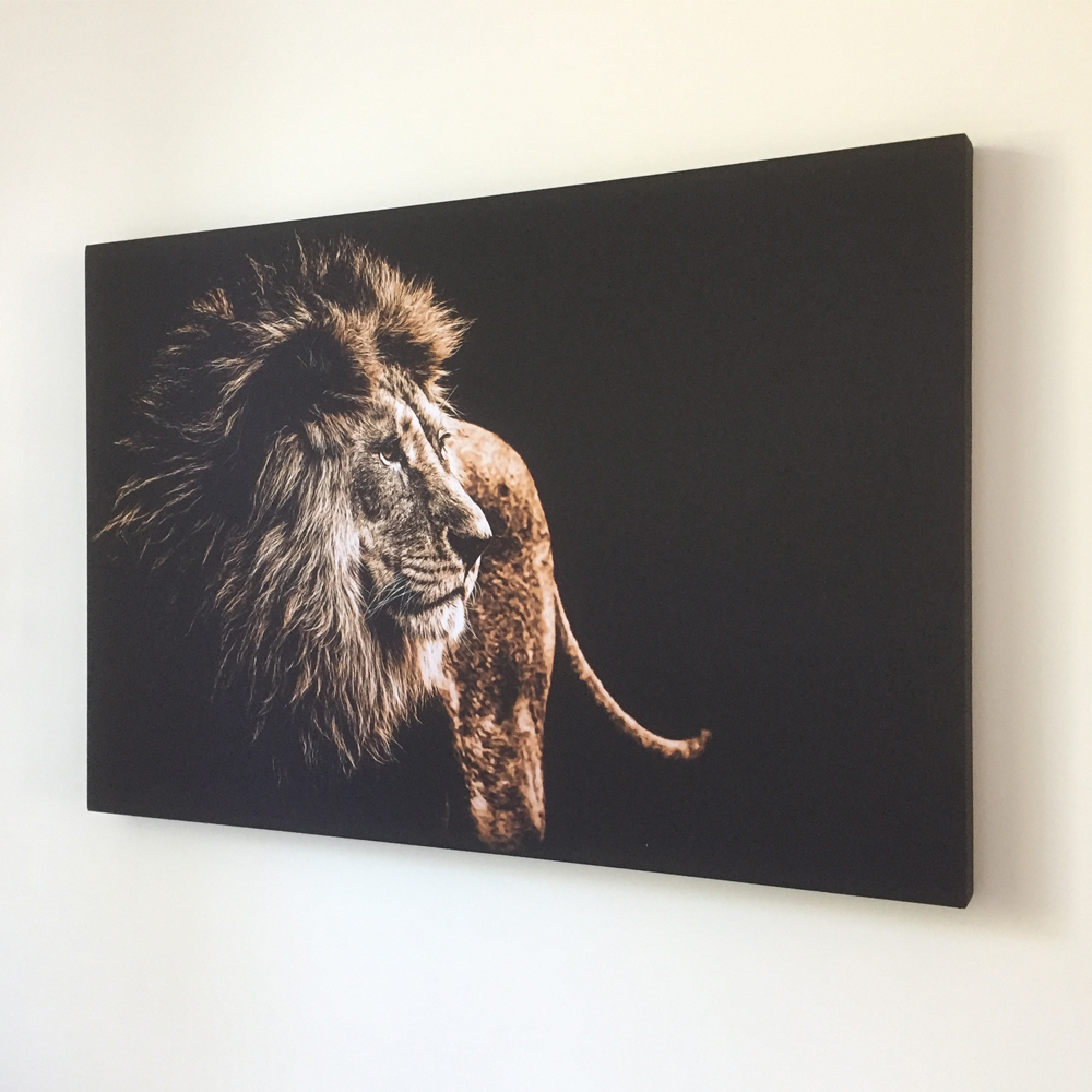 Akoestisch wandpaneel BK afbeelding