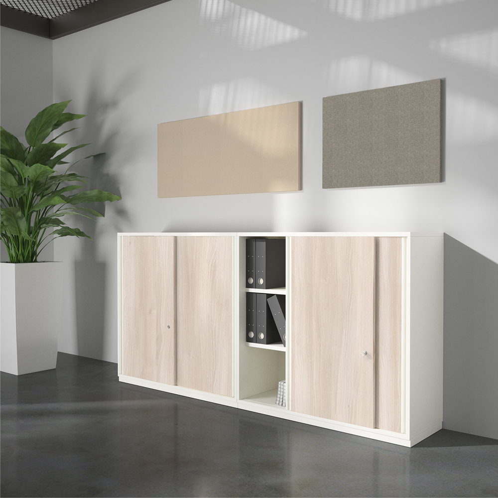 Terio Plus Horizontale Wandabsorber afbeelding