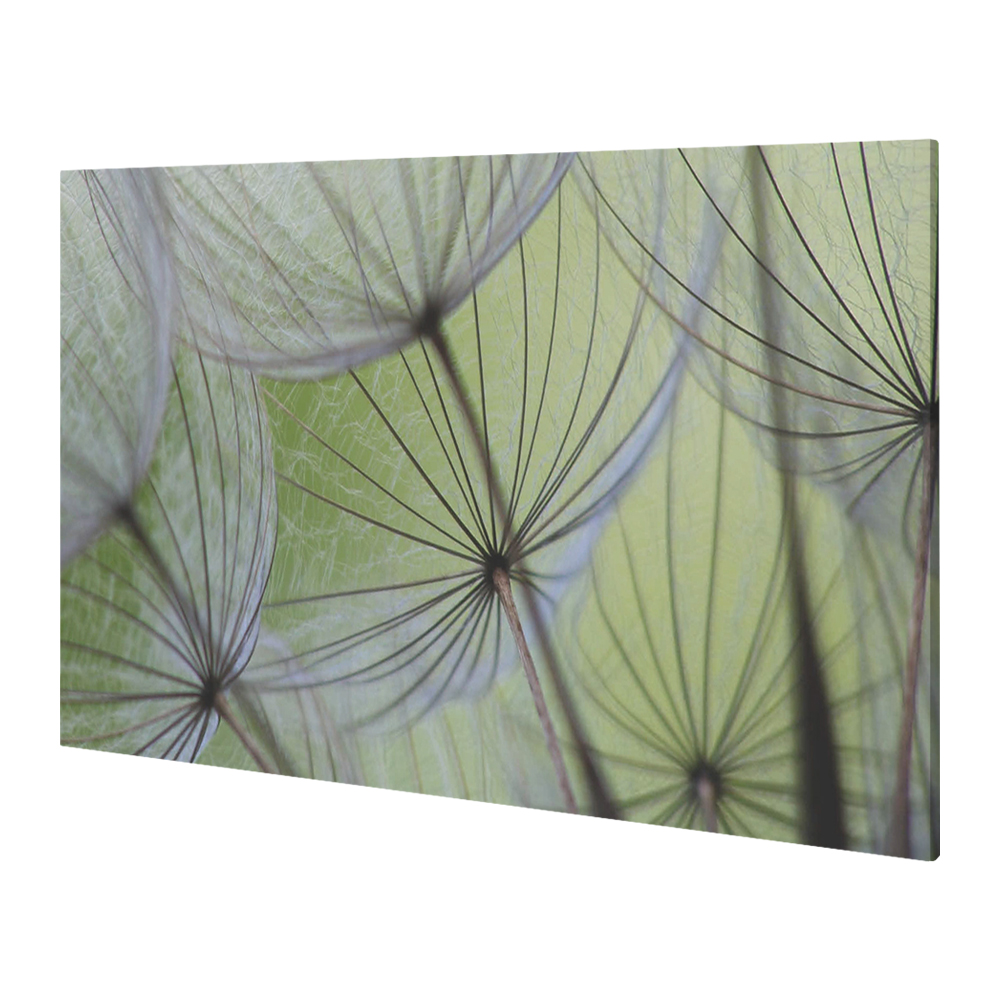 Wandpaneel Alumni afbeelding