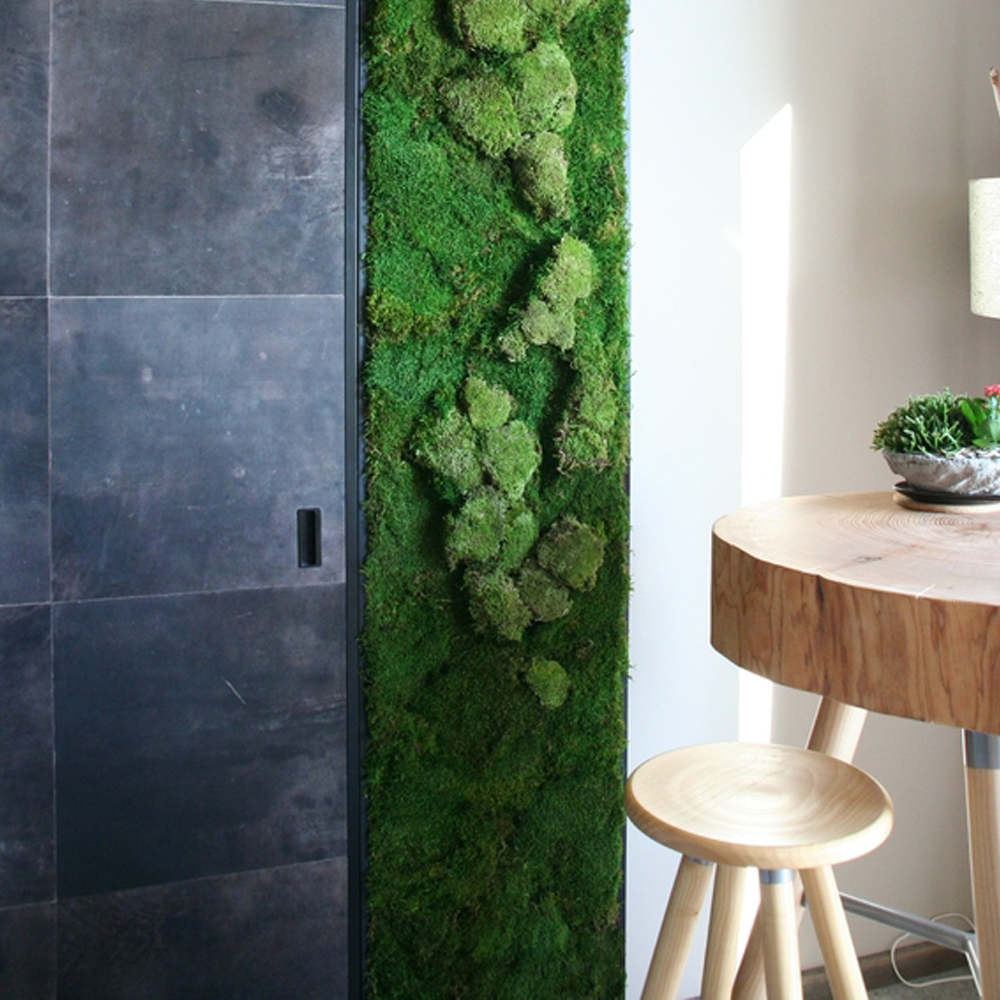 Mospaneel Bryo afbeelding