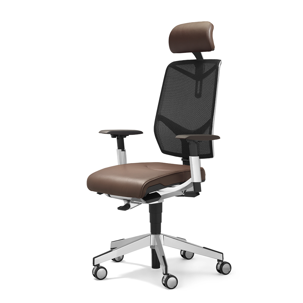 Giroflex Aramis Directie afbeelding