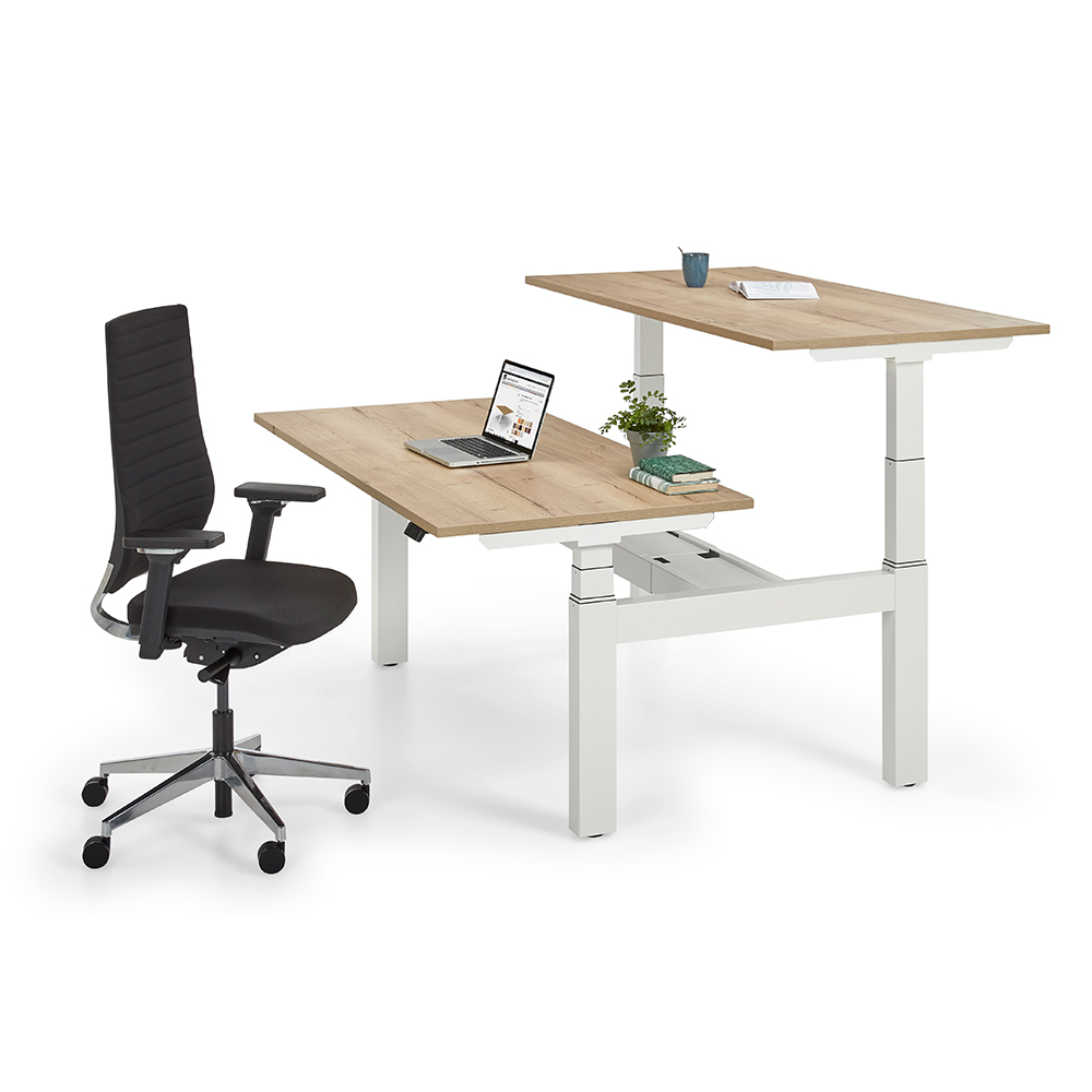 Work Out Pro - Elektrisch Zit-Sta Bench Bureau afbeelding