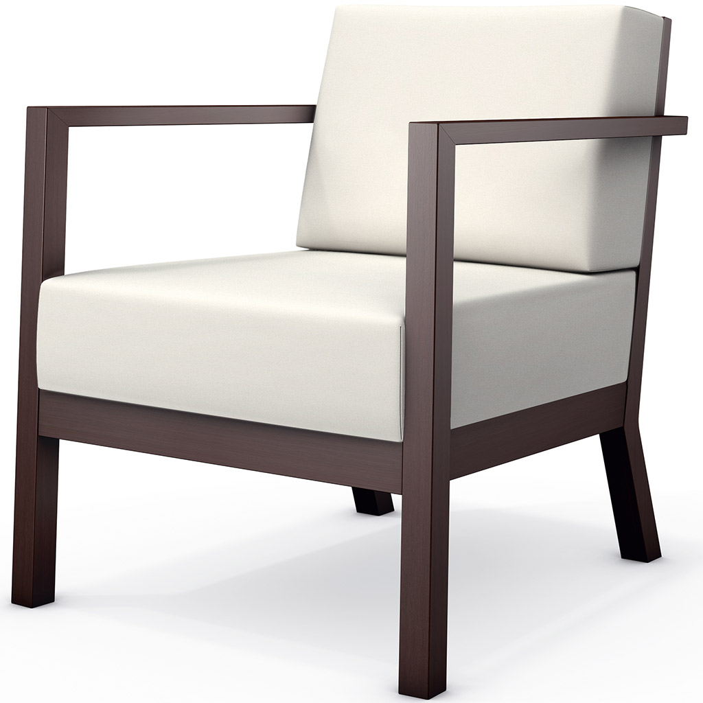 Zorgstoel Woody afbeelding